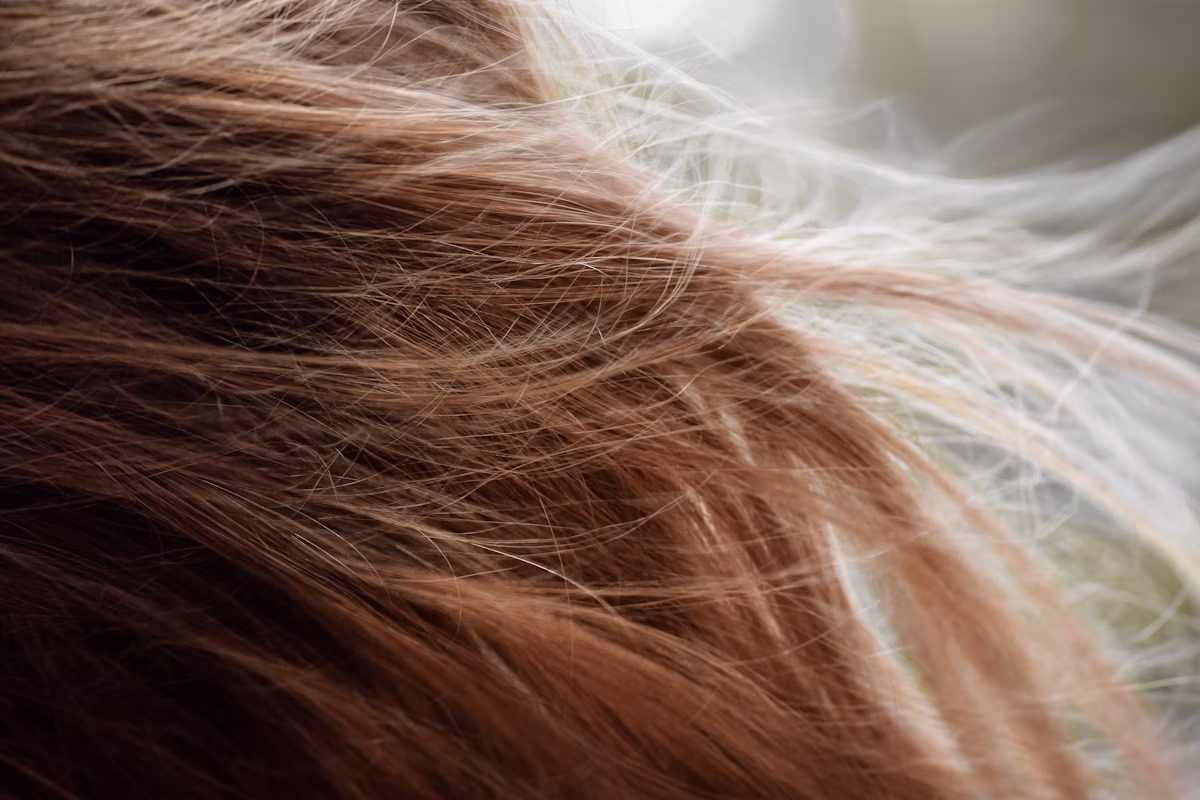 نمونه کار پلکس تراپی